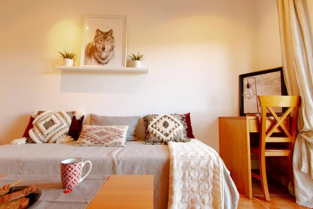 Estudio En La Molina ألب المظهر الخارجي الصورة